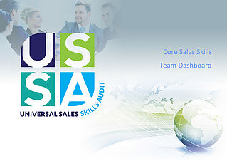 Sales team assessment